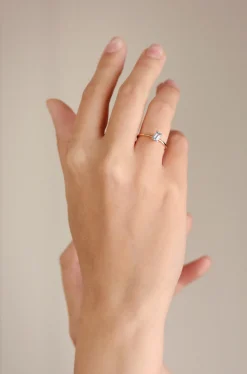 Ewandé simple baguette